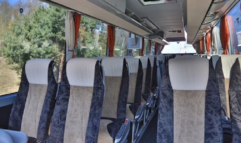 Germany: Coach charter in Hesse in Hesse and Mühlheim am Main