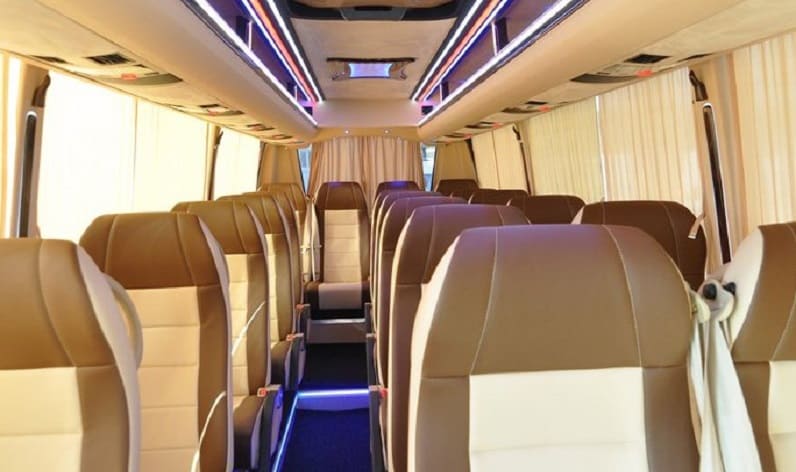 Germany: Coach reservation in Rhineland-Palatinate in Rhineland-Palatinate and Ingelheim am Rhein